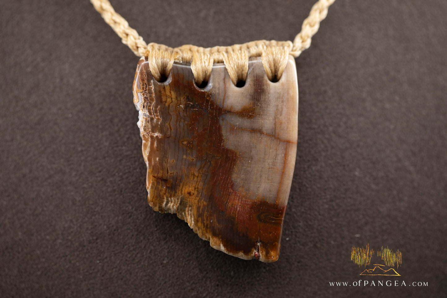 Petrified Wood Slab necklace - Wyoming || JF1062