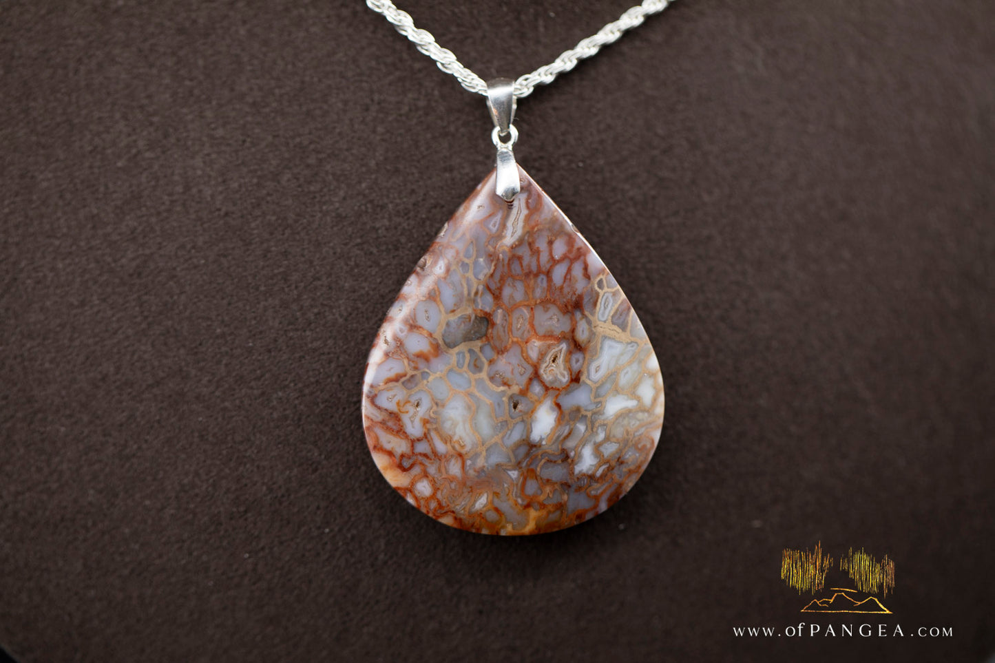Petrified Palm Wood Drop Pendant & Italian .925 sterling silver rope chain || JF1177