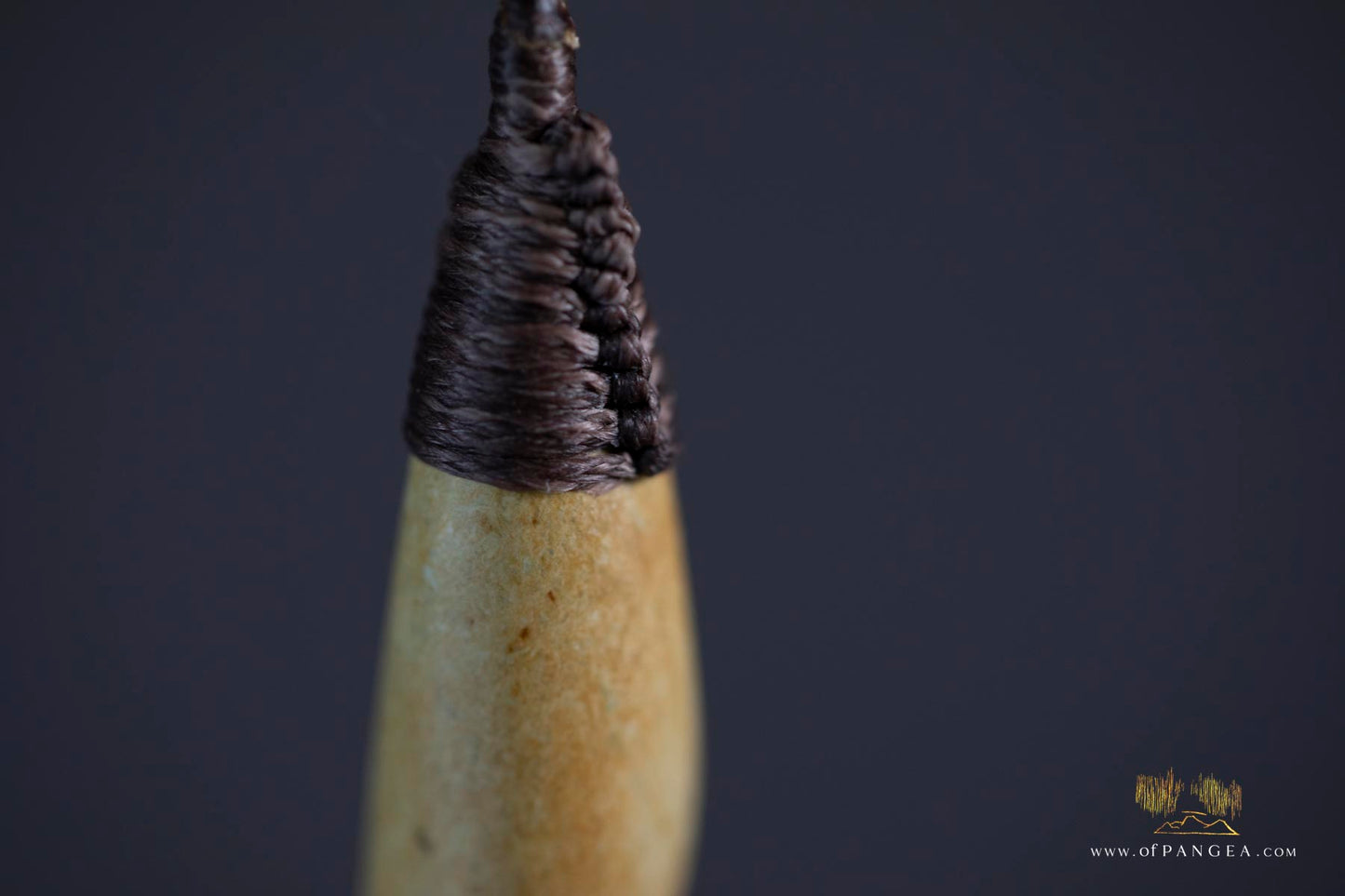 Roimata Teardrop Pendant - Raukaraka Pounamu - Nephrite Jade - New Zealand