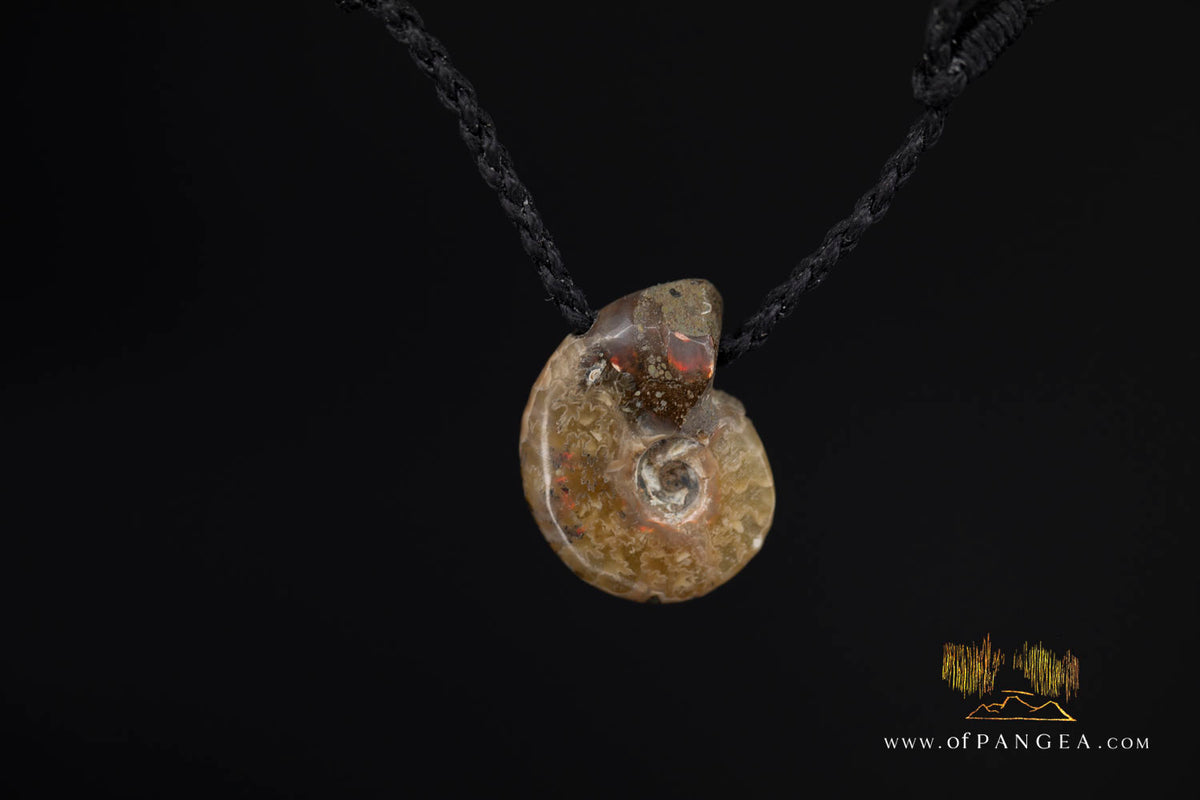 Fossilized Golden Agate Per-mineralized Full Ammonite Necklace - black plaited cord || JF1830