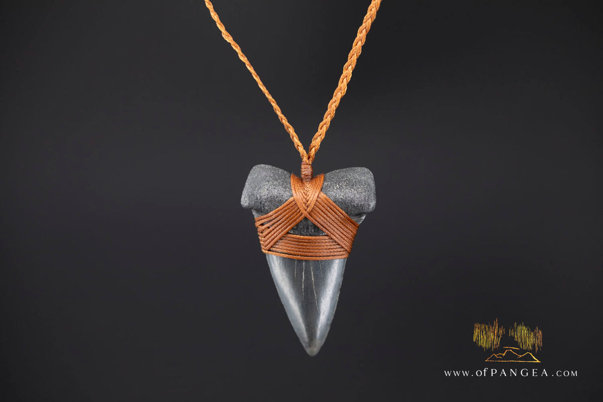 Fossilized Mako Shark Tooth Necklace || JF1831