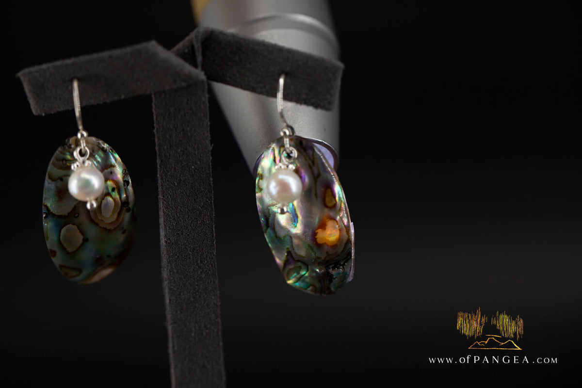 Paua Abalone Oval earrings & AAA Pearl - sterling silver || JF1846
