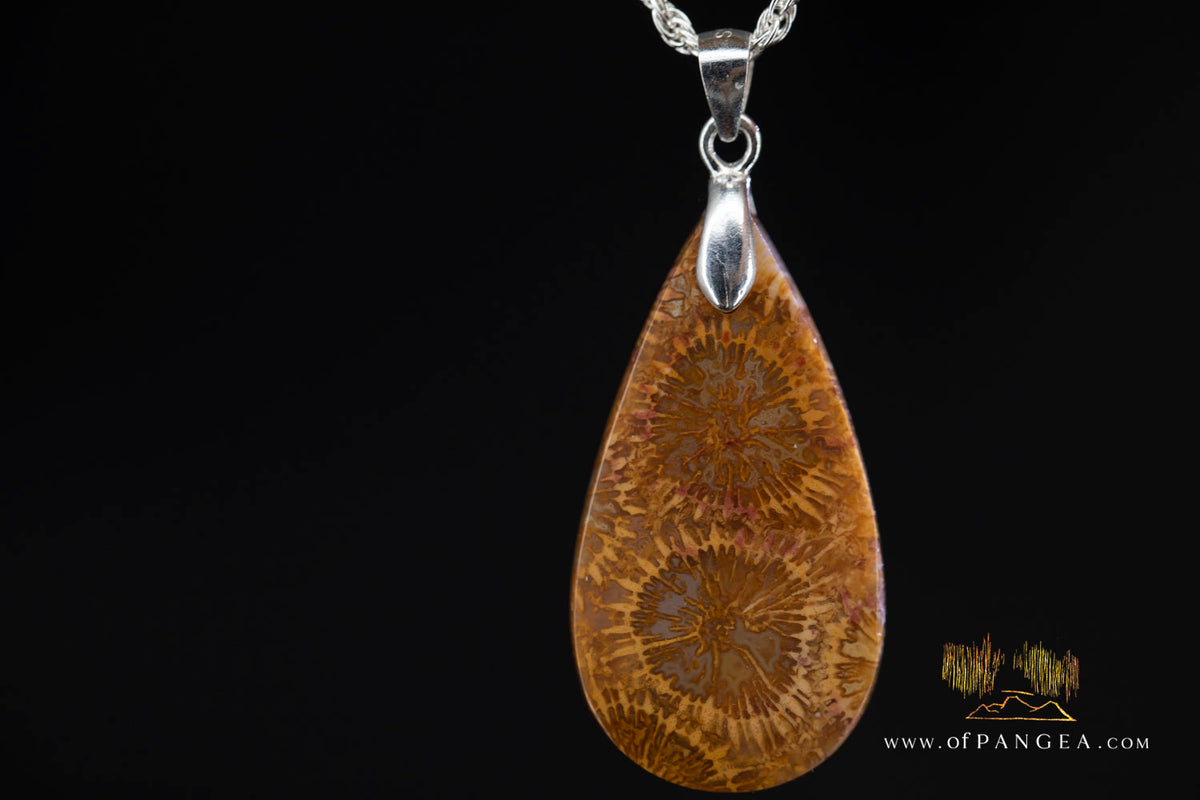 Fossil Coral Teardrop Agatized - Necklace - Sterling Silver || JF1859