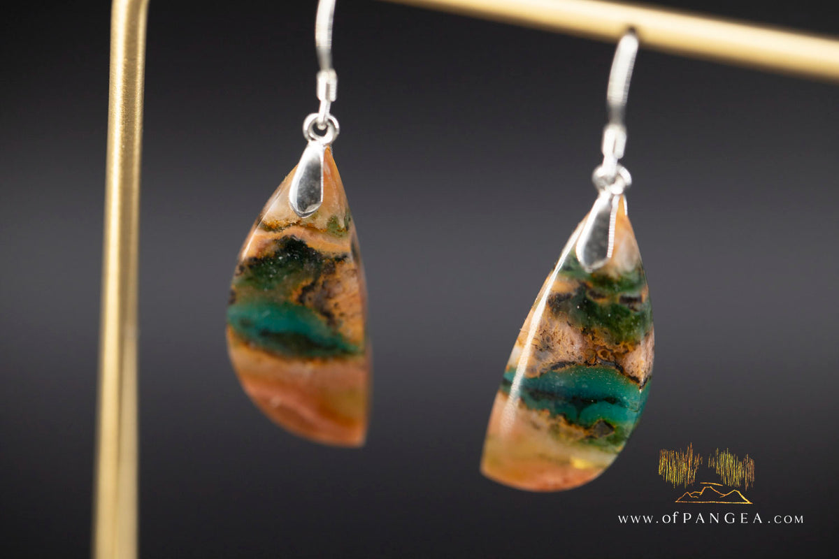 Petrified Wood Earrings - Opalized - Sterling Silver || JF2021