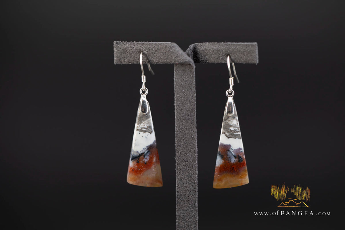 Petrified Wood Earrings - Opalized - Sterling Silver || JF2022