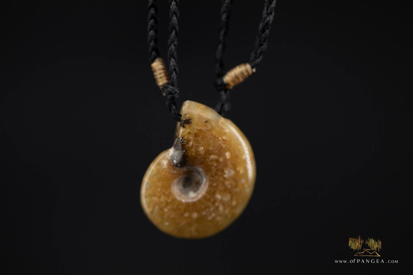 Fossilized Golden Agate Per-mineralized Full Ammonite Necklace - black plaited cord || JF480