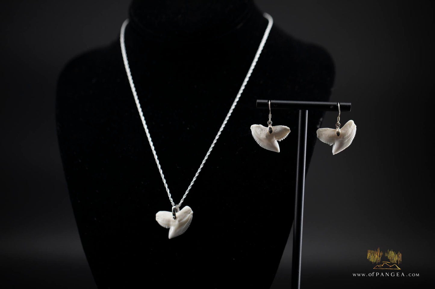 Tiger Shark teeth earrings (Modern) Sterling Silver || JF523