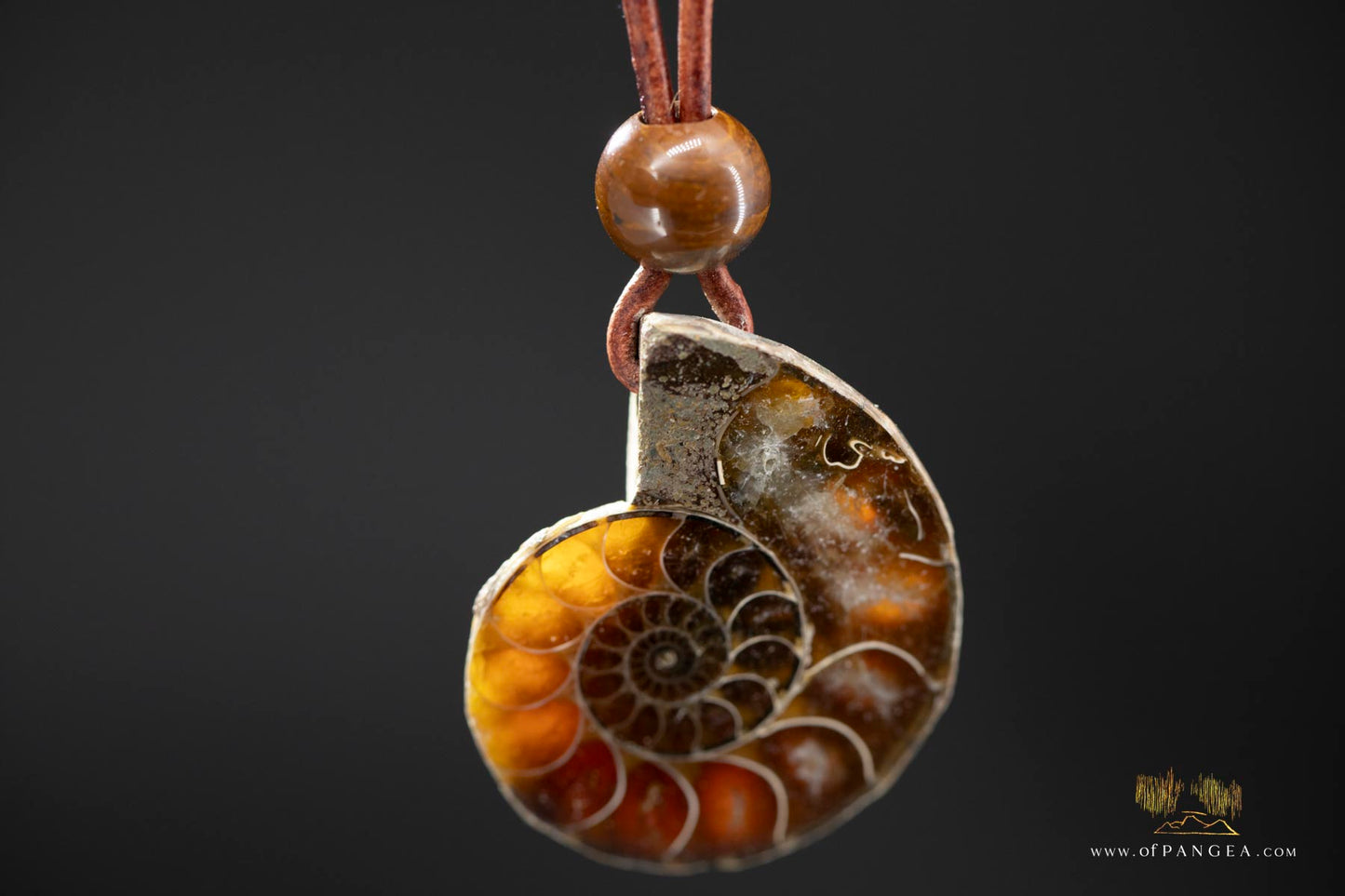 Per-mineralized Ammonite Fossil Cross-section Necklace - Tiger's Eye Bead || JF553