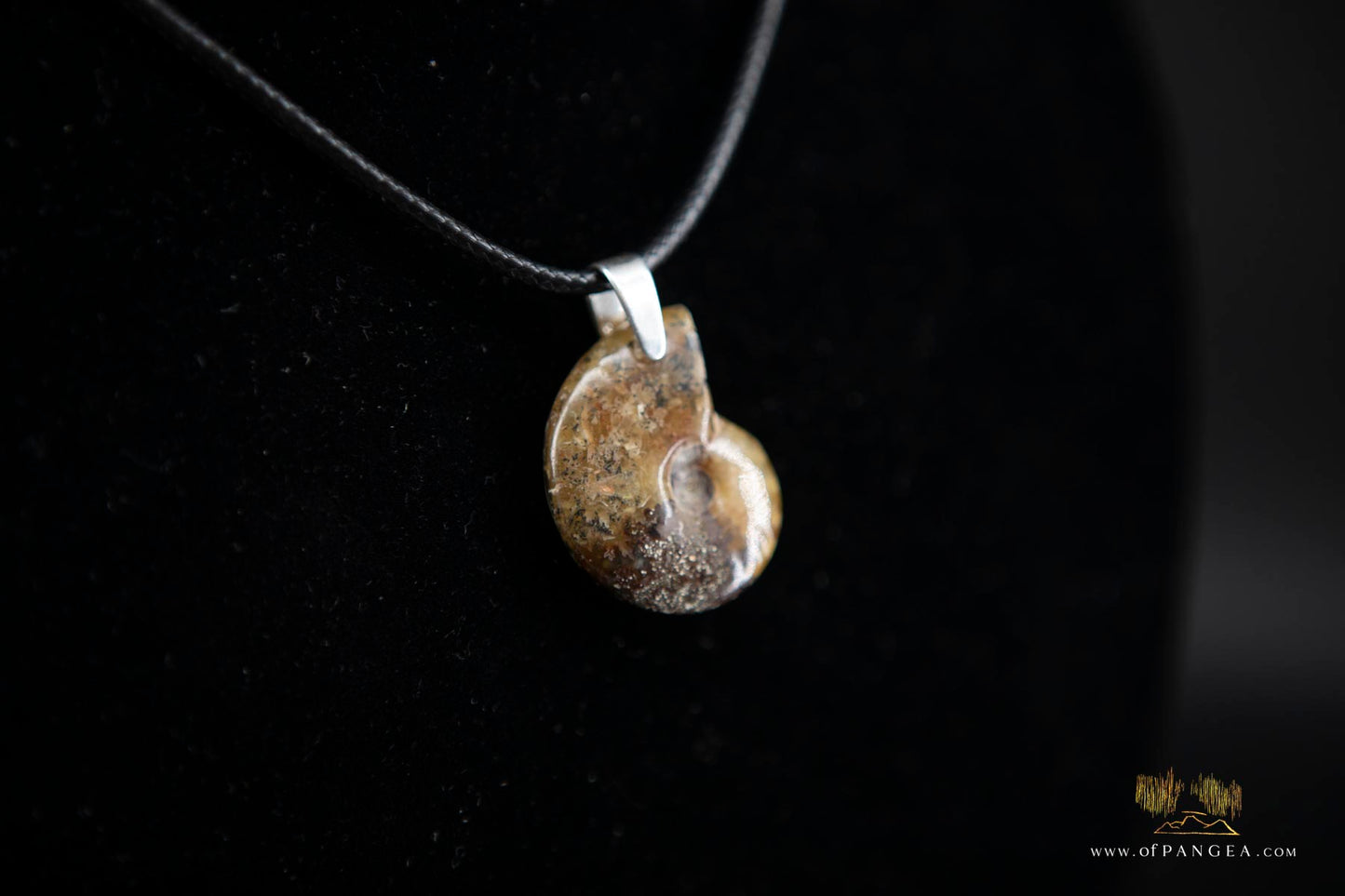 Fossilized Golden Agate Per-mineralized Full Ammonite Necklace - Italian Leather sterling silver necklace || JF574