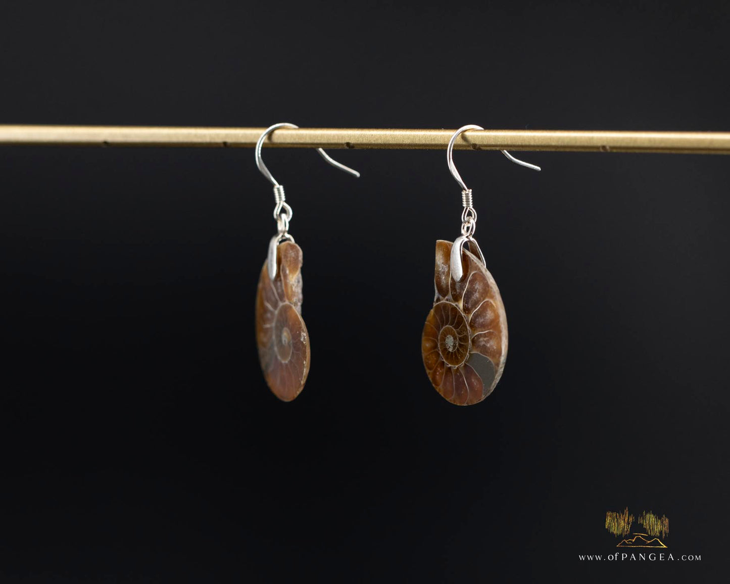 Per-mineralized Ammonite Half Earrings - sterling silver