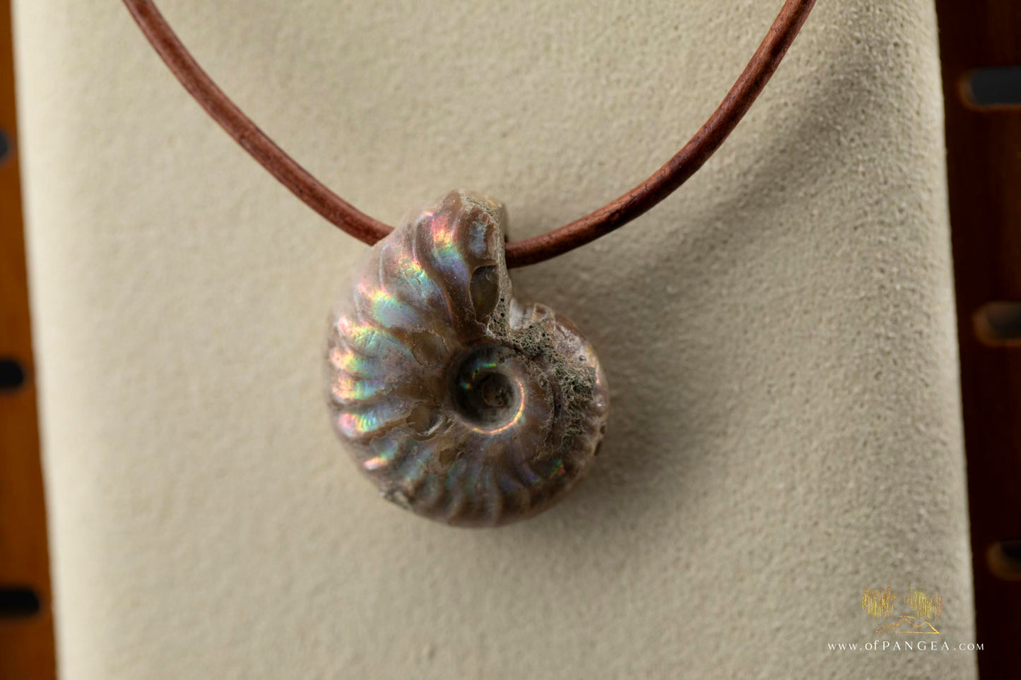 Opalized Ammonite Spiral Shell fossil - italian leather necklace || JF686