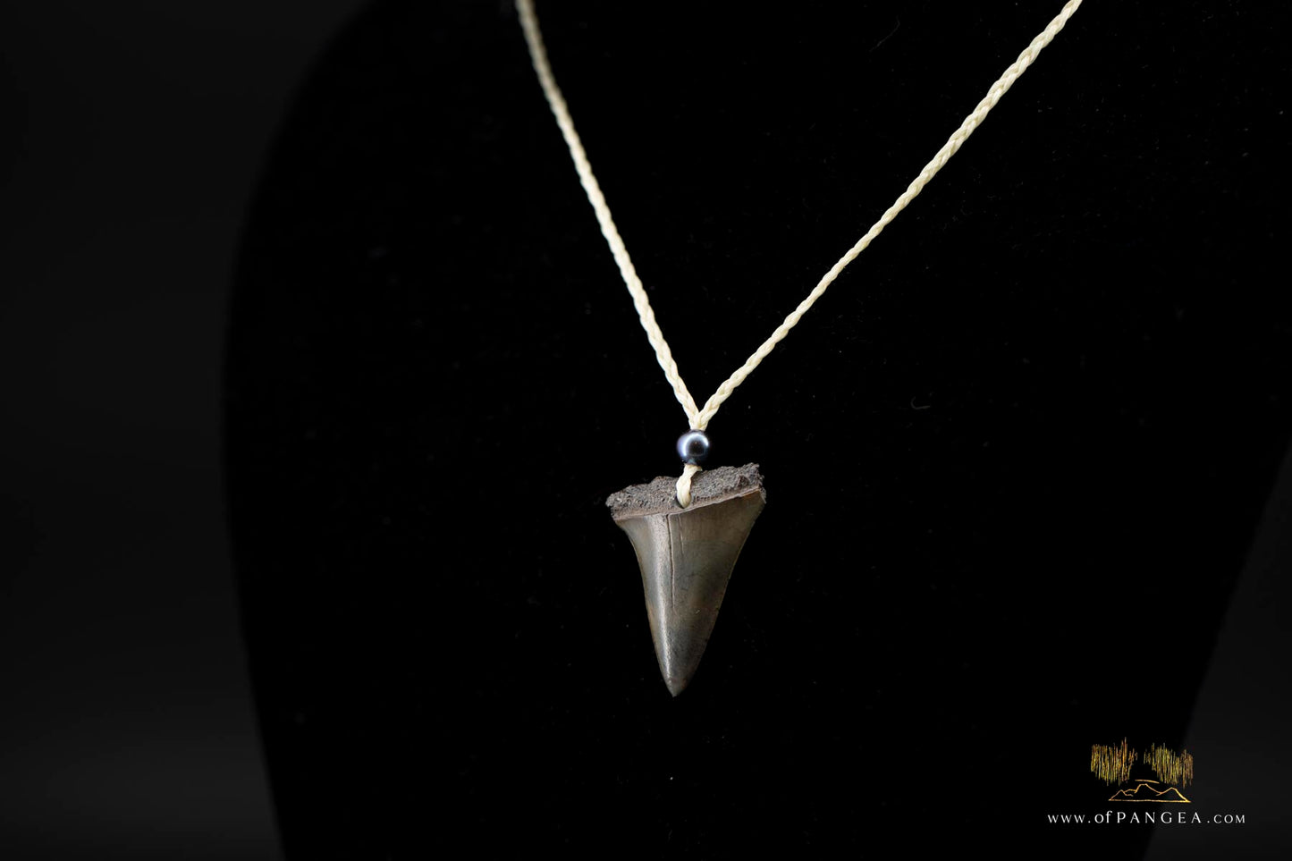 Fossilized Mako Shark Tooth & AAA Peacock Pearl - Necklace || JF690