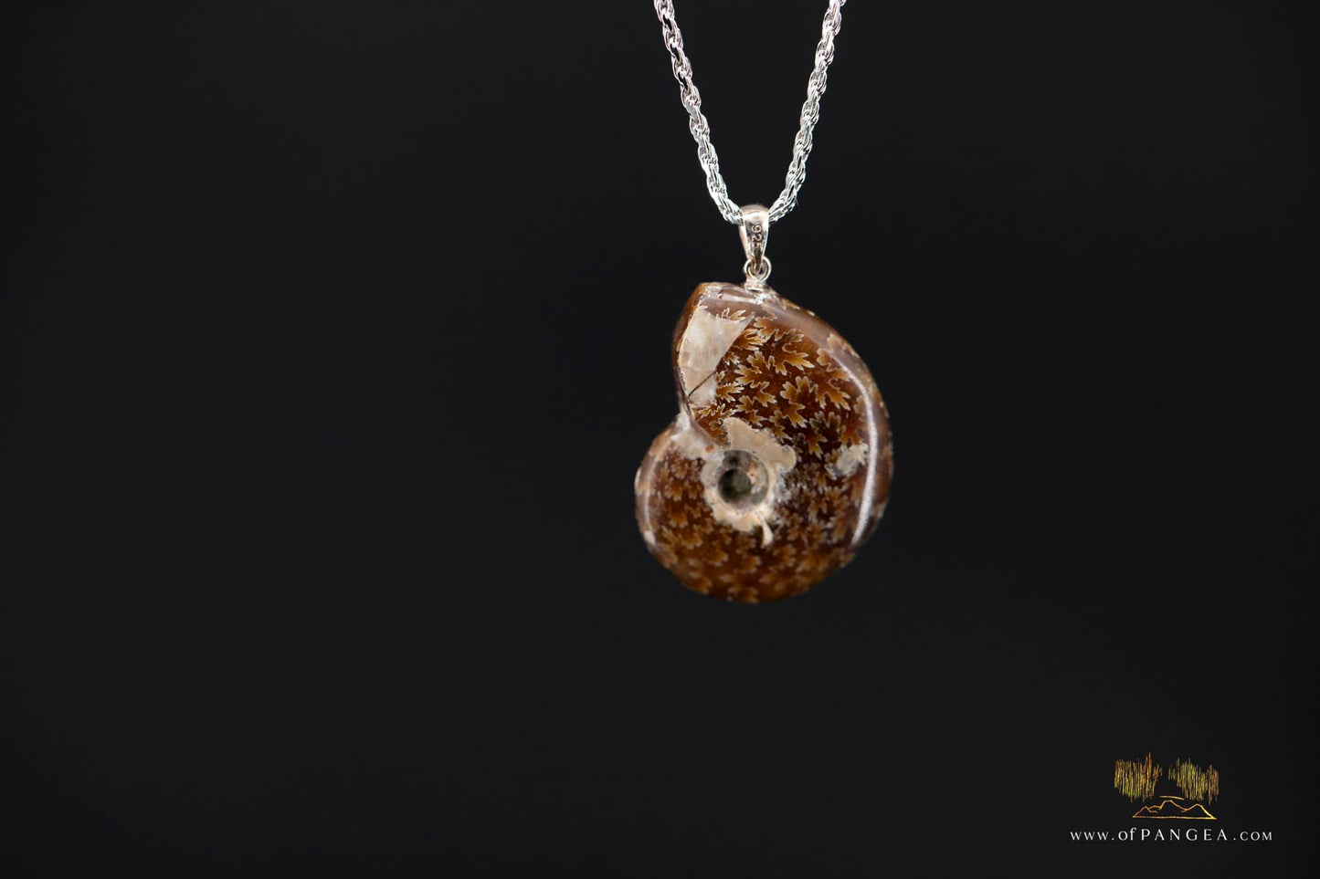 Agate Per-mineralized Full Ammonite Fossil Necklace - 0.925 Italian Sterling Silver rope Chain 18inch || JF691