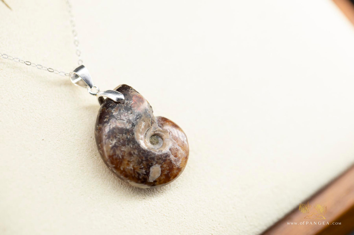 Per-mineralized Ammonite necklace whole - 18 inch dainty sterling silver chain || JF692