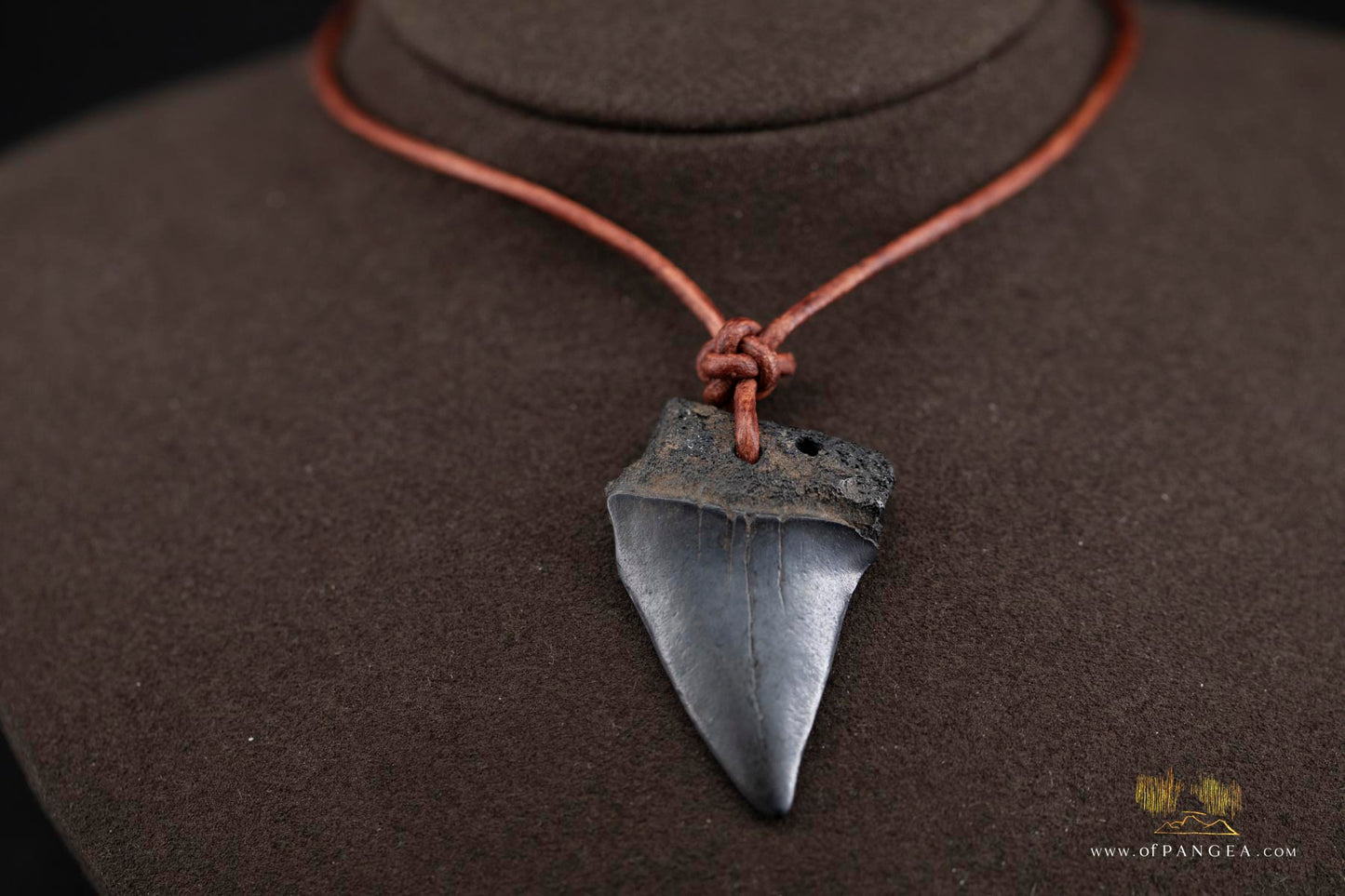 Fossilized Mako Shark Tooth & Italian Leather Cord - Necklace || JF753