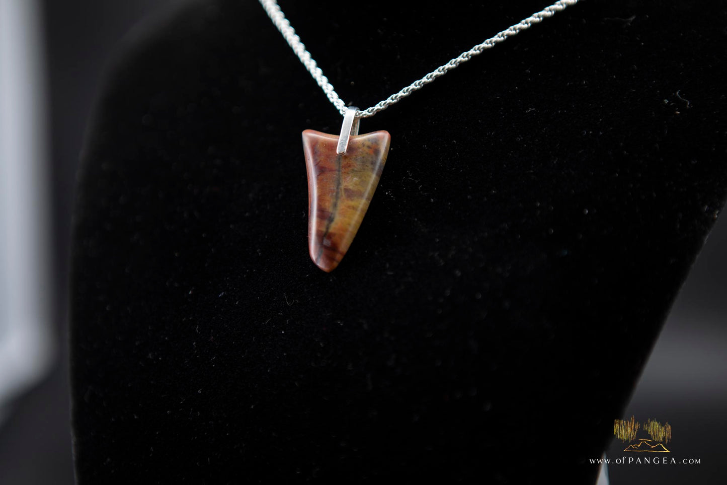 Petrified Wood Pendant & 18inch italian .925 sterling silver rope chain (2mm) || JF774