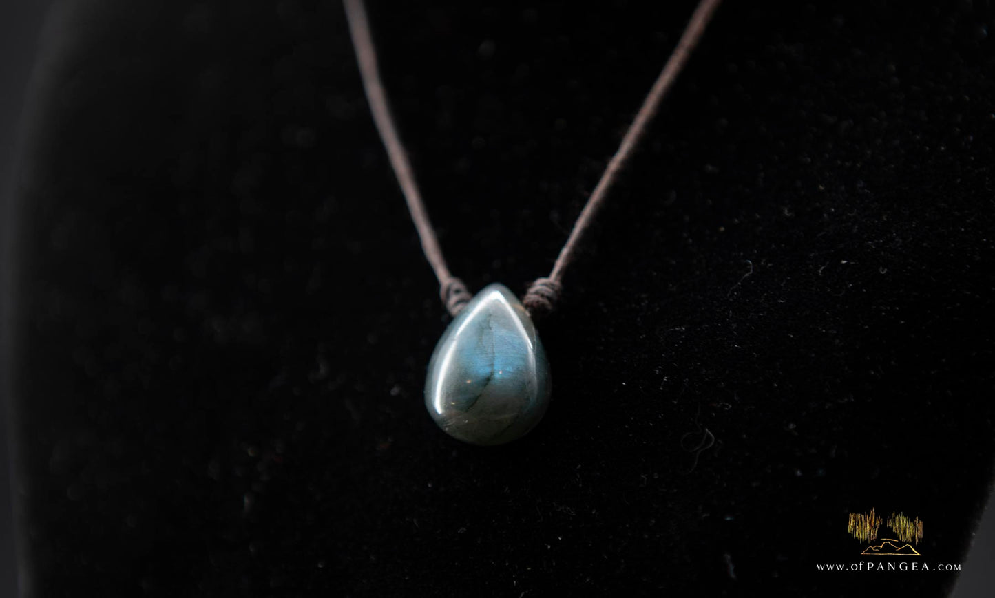 Labradorite Drop pendant necklace - waxed cotton cord