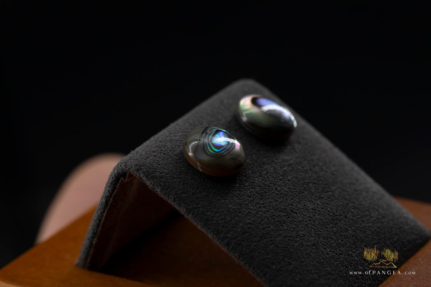 Abalone Stud Earrings - 10mm Abalone and 0.925 Sterling Silver