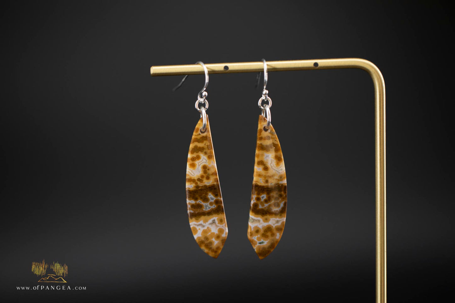 Ocean Jasper Drop earrings - Sterling Silver || JF867