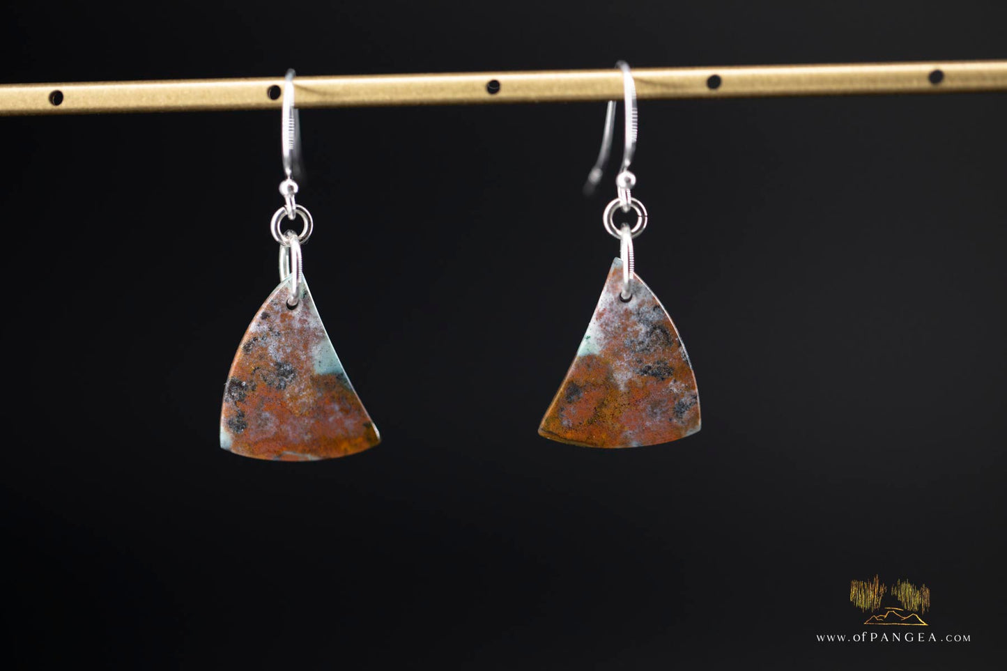 Petrified Wood Earrings - Opalized - Sterling Silver || JF907
