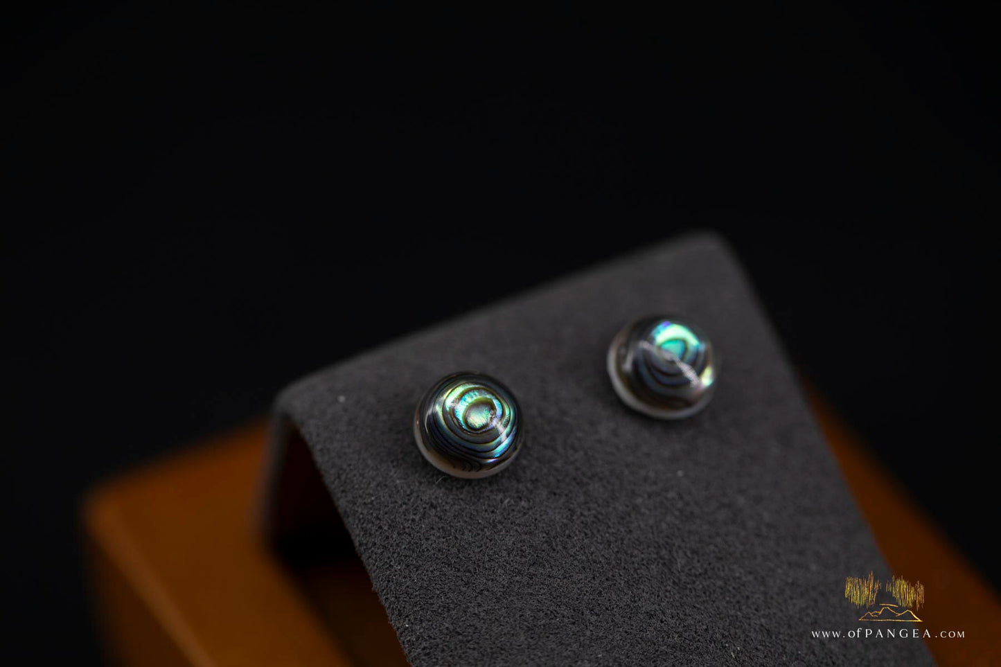 Abalone Stud Earrings - 8mm Abalone and 0.925 Sterling Silver
