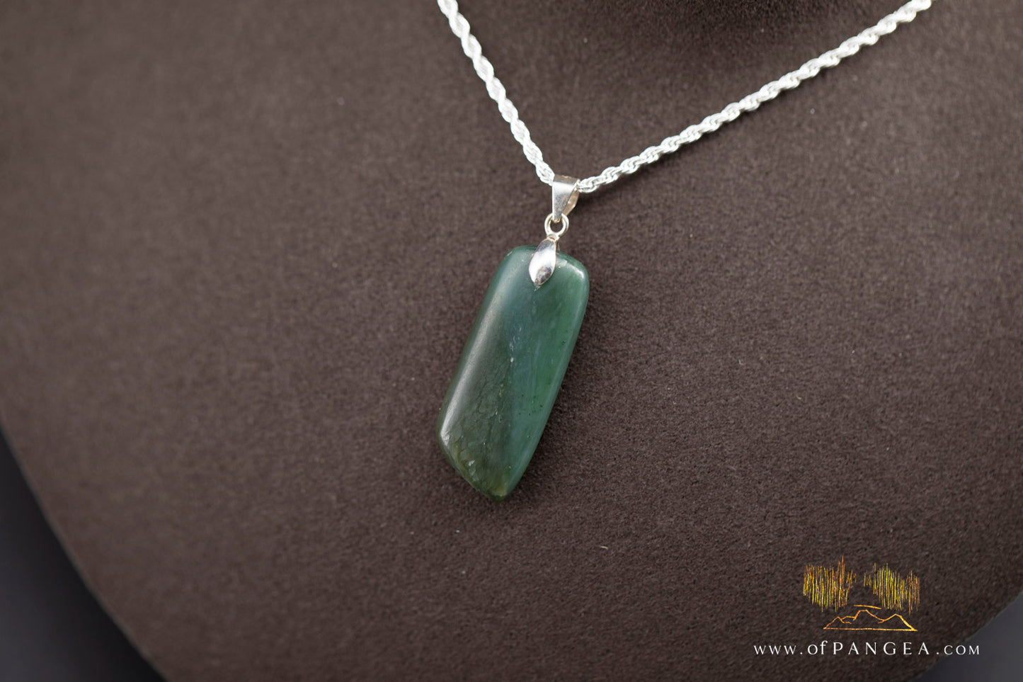 British Columbian Green Nephrite Jade Necklace - Italian sterling silver rope chain || JF991