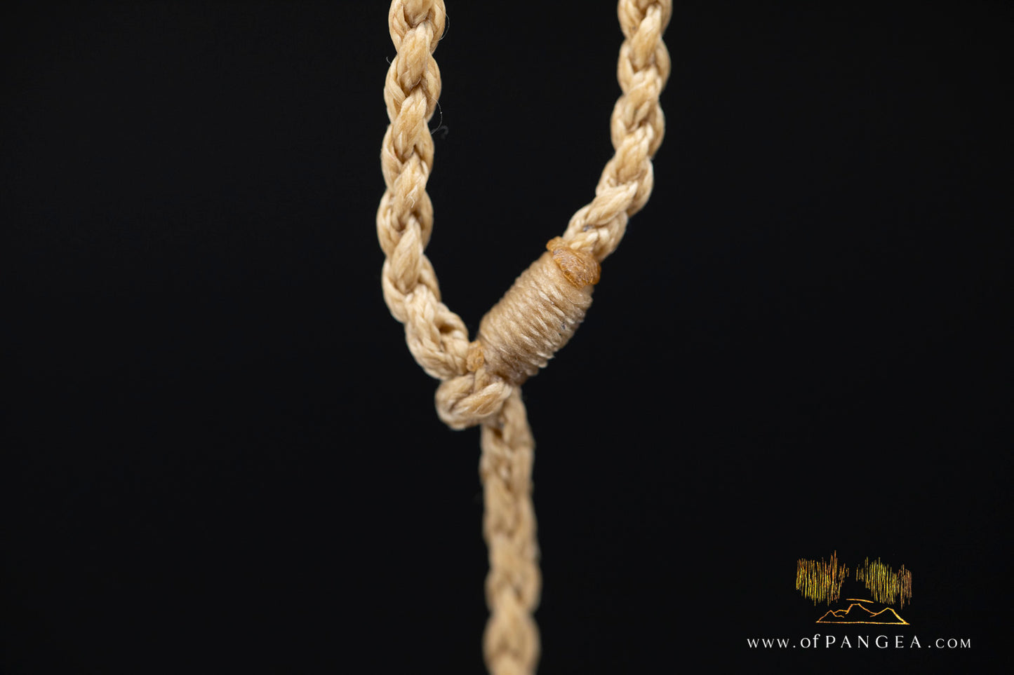 Fossilized Mako Shark Tooth Necklace