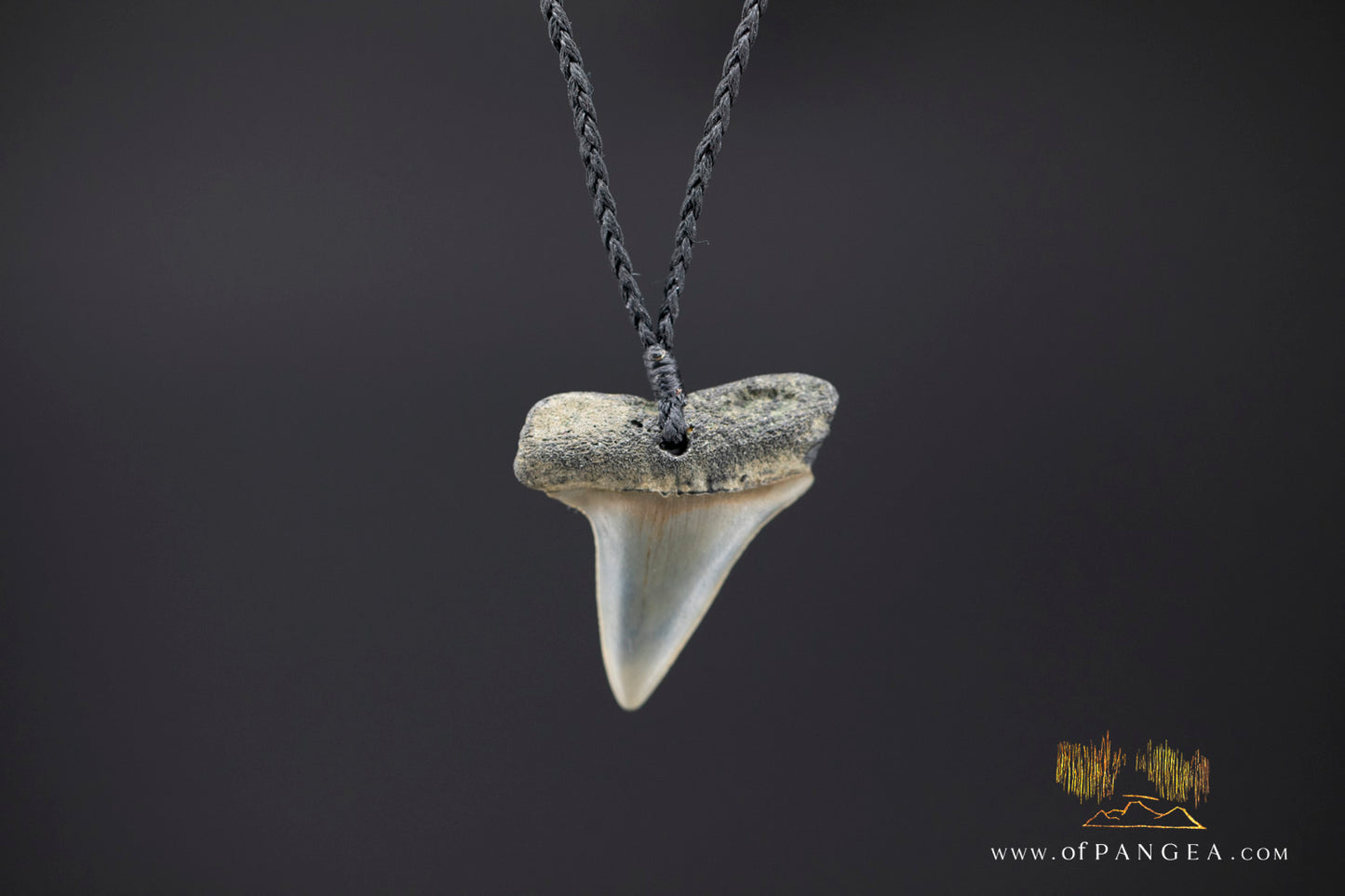 Fossilized Mako Shark Tooth Necklace || JF1297