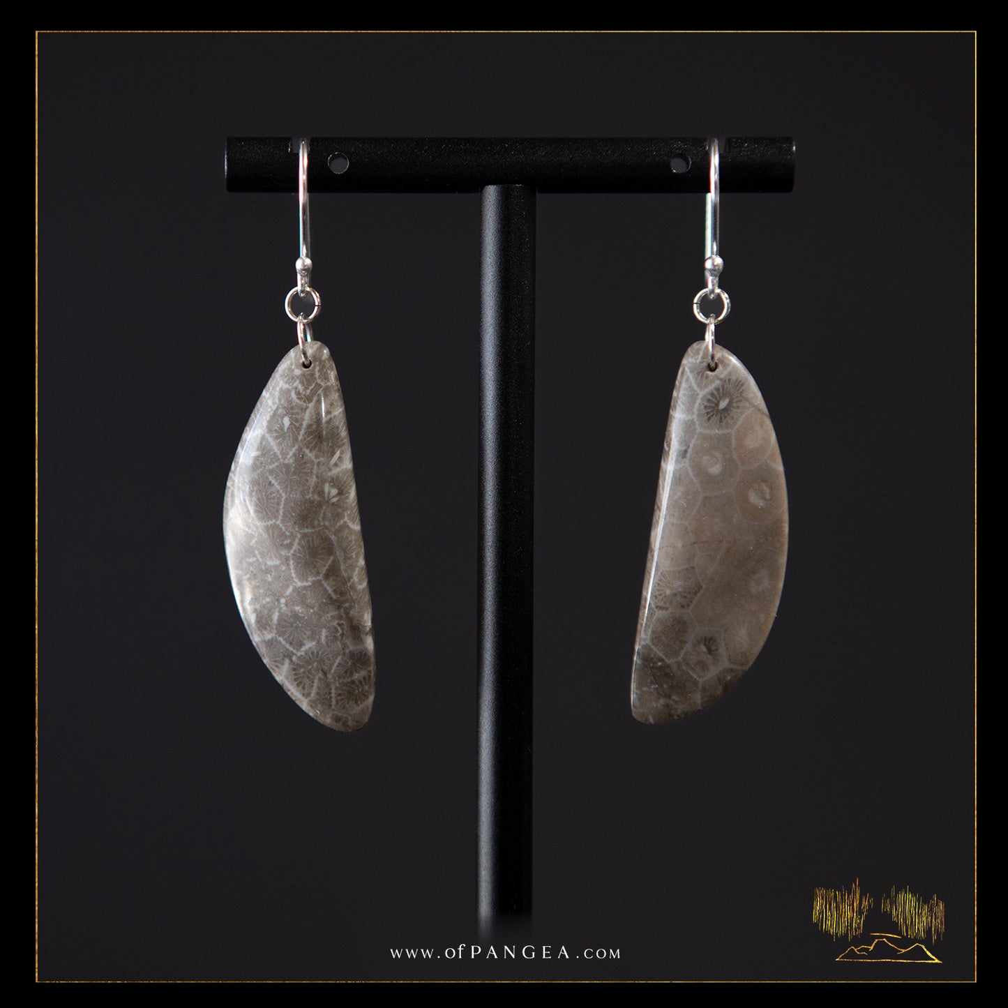 Fossilized coral earrings - sterling silver