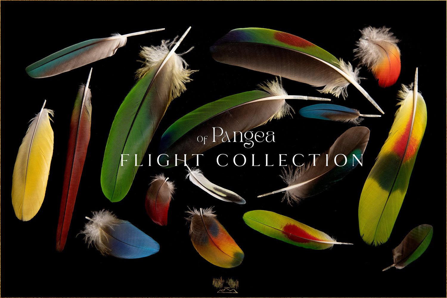 Flight Collection