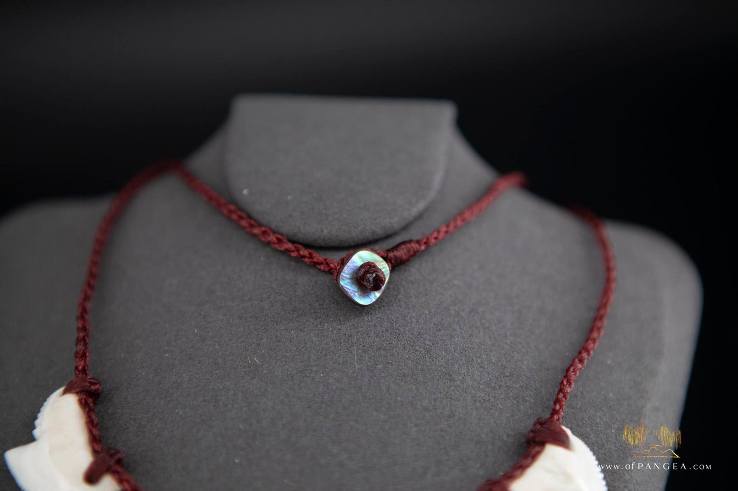 Tiger Shark tooth trio bound necklace (Modern) paua abalone toggle || JF057