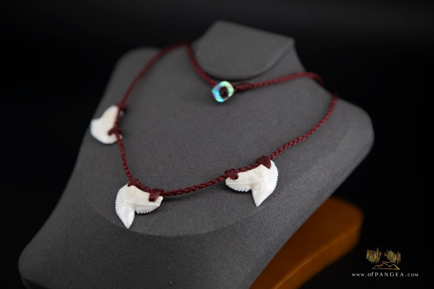 Tiger Shark tooth trio bound necklace (Modern) paua abalone toggle || JF057