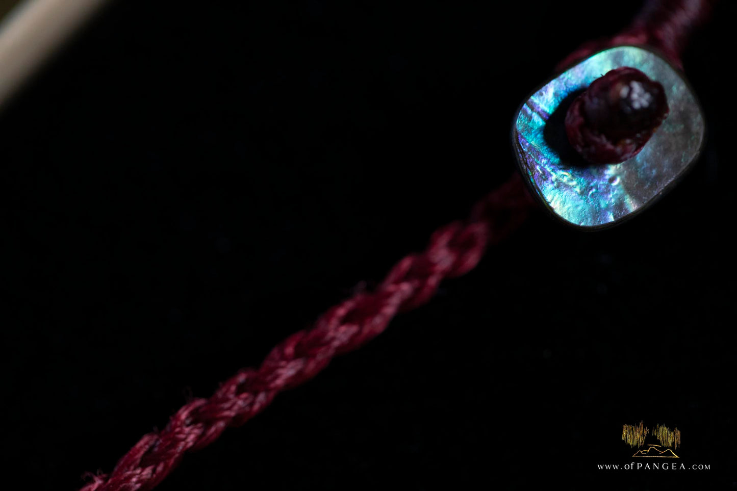 Tiger Shark tooth trio bound necklace (Modern) paua abalone toggle || JF057