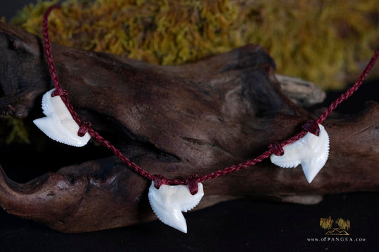 Tiger Shark tooth trio bound necklace (Modern) paua abalone toggle || JF057