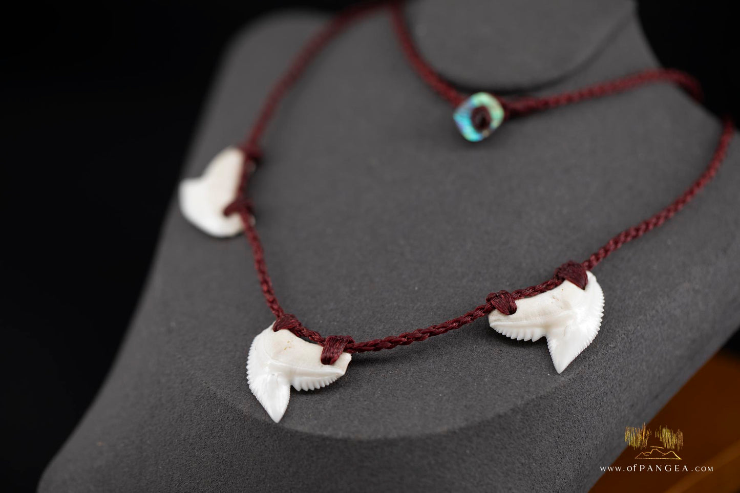 Tiger Shark tooth trio bound necklace (Modern) paua abalone toggle || JF057