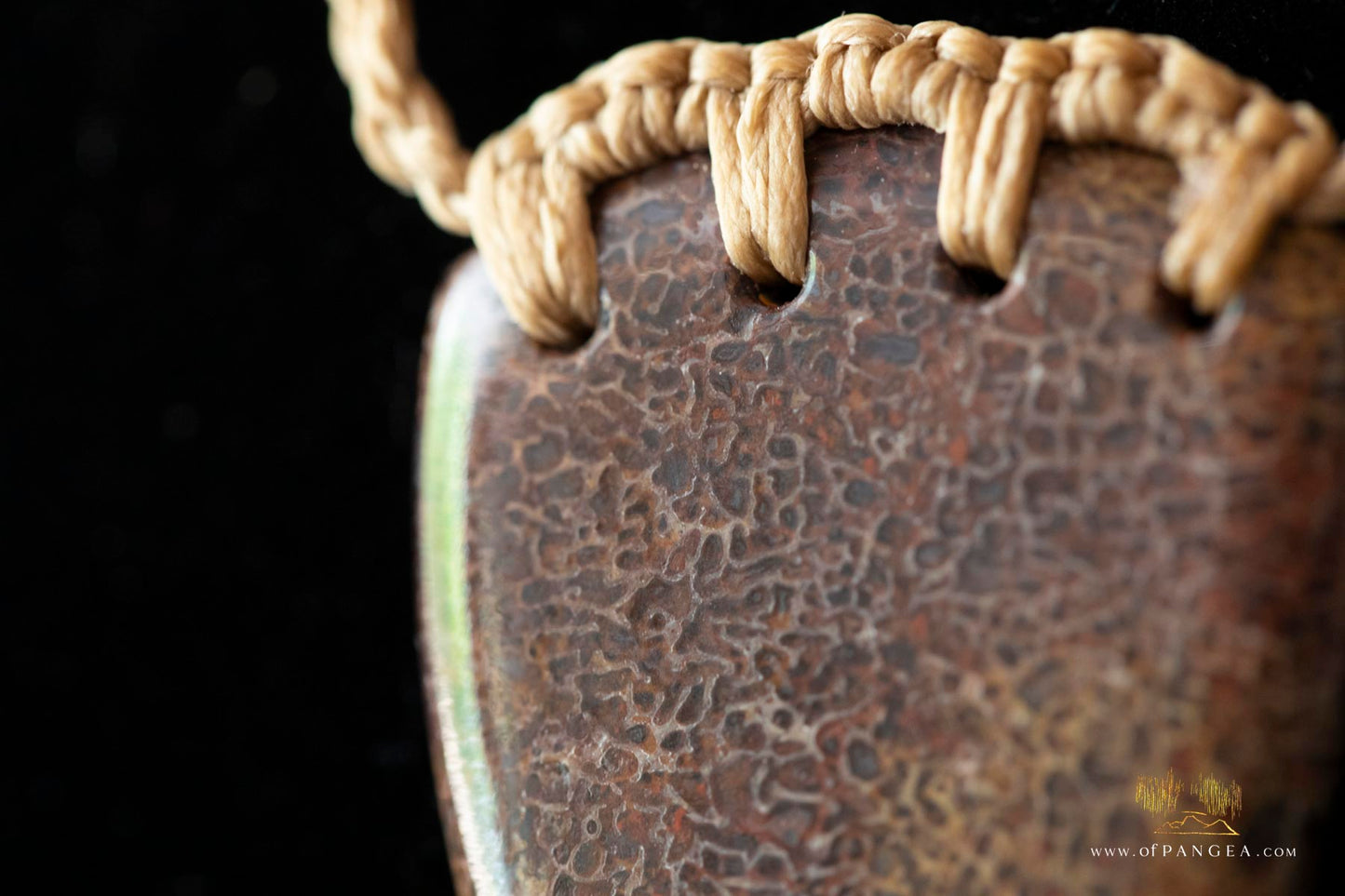 Dinosaur gembone necklace - abalone toggle