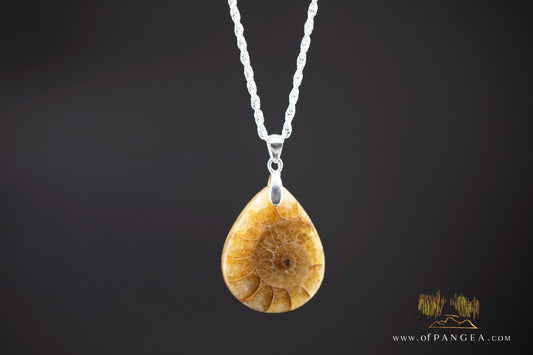 Fossilized Golden Per-mineralized Ammonite Tear Drop Necklace - Italian sterling silver || JF1049