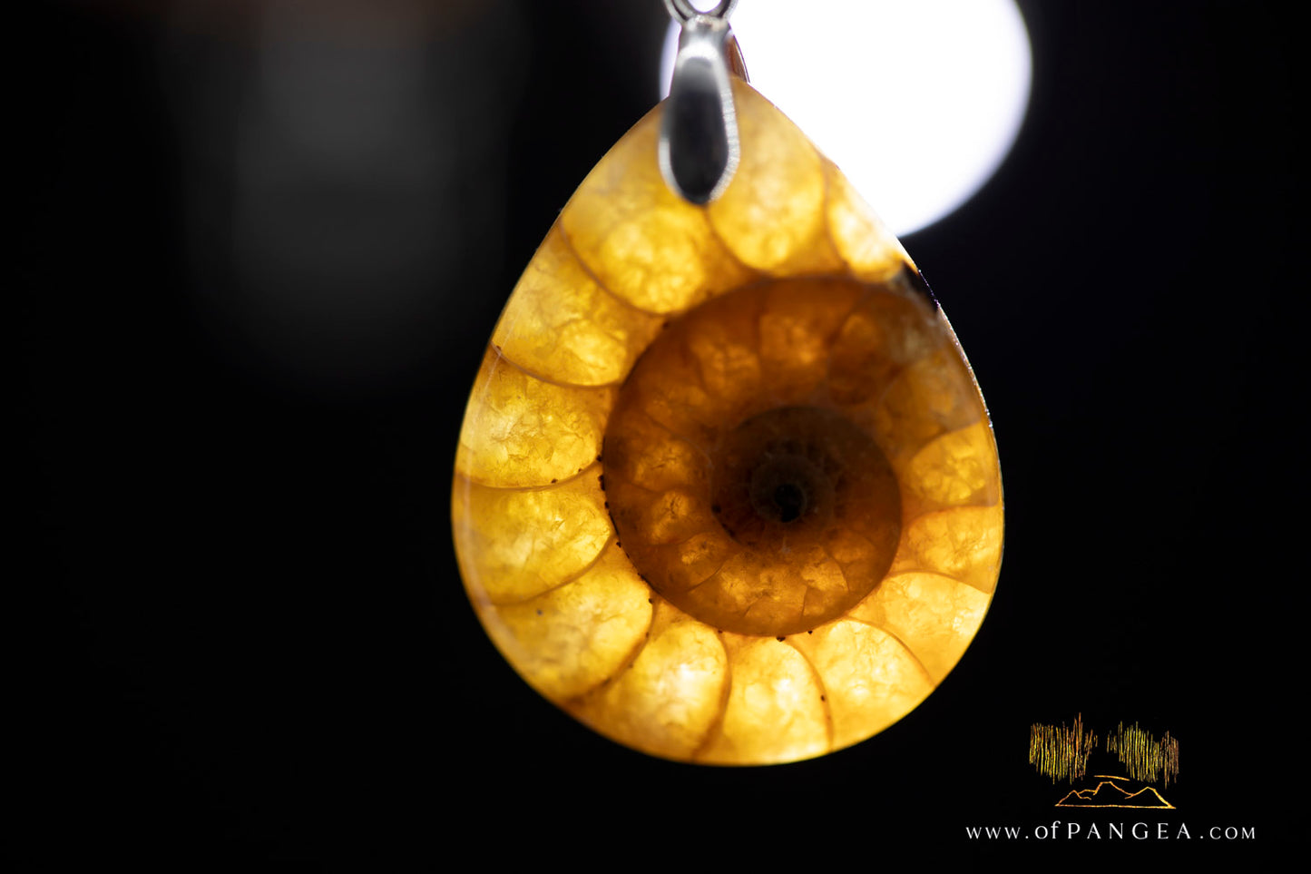 Fossilized Golden Per-mineralized Ammonite Tear Drop Necklace - Italian sterling silver || JF1049