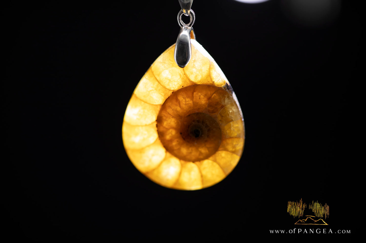 Fossilized Golden Per-mineralized Ammonite Tear Drop Necklace - Italian sterling silver || JF1049