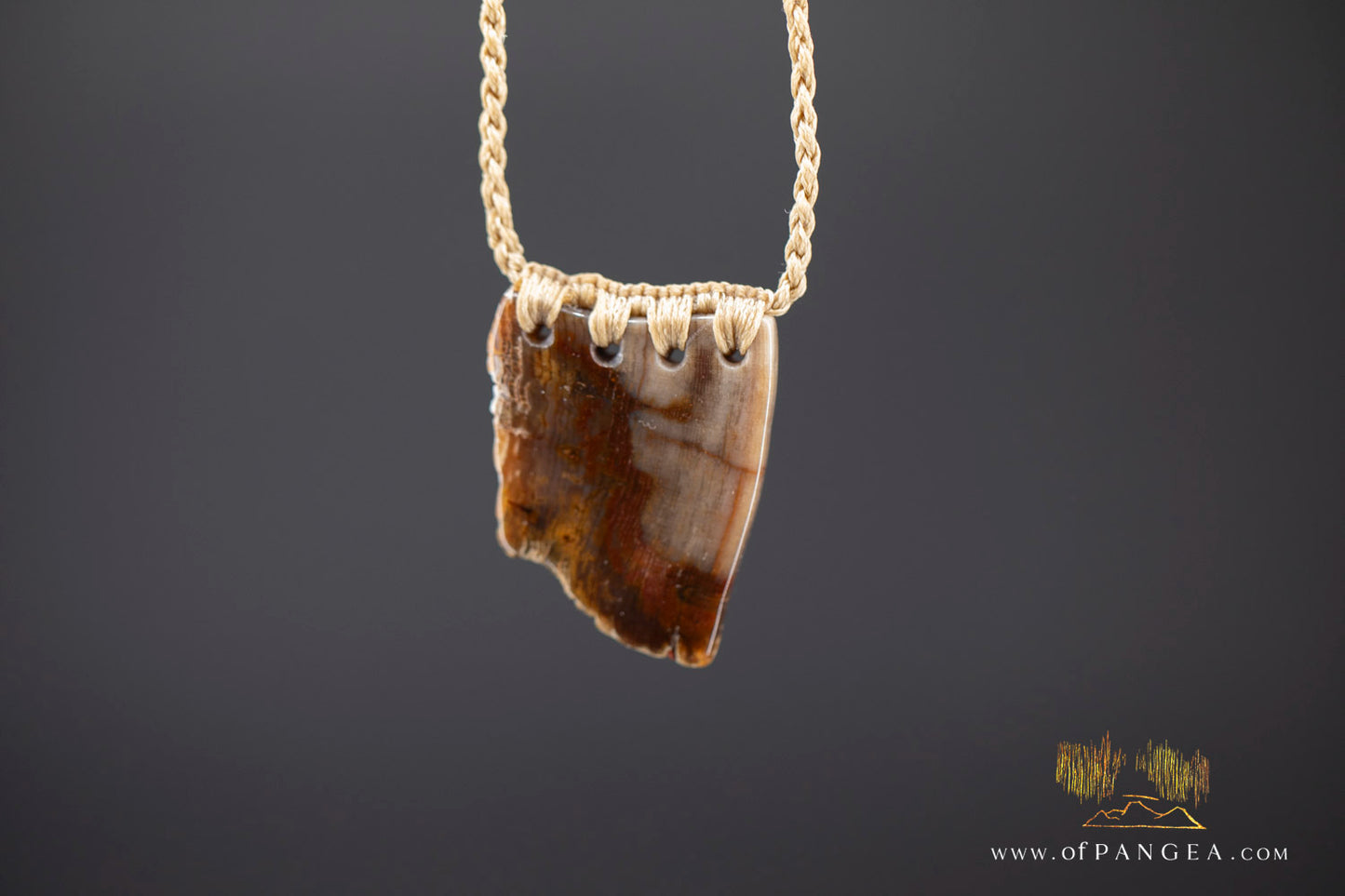 Petrified Wood Slab necklace - Wyoming || JF1062