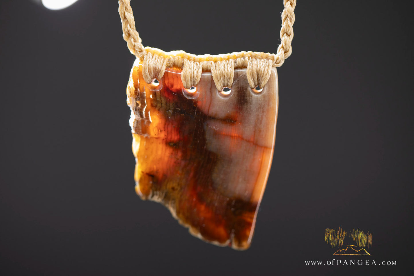 Petrified Wood Slab necklace - Wyoming || JF1062