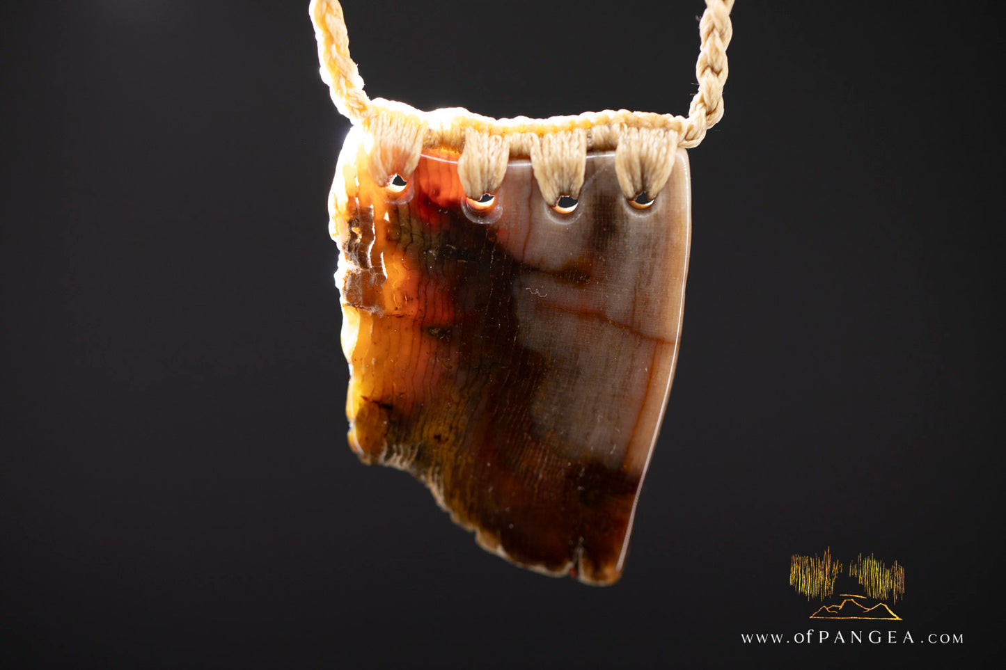 Petrified Wood Slab necklace - Wyoming || JF1062