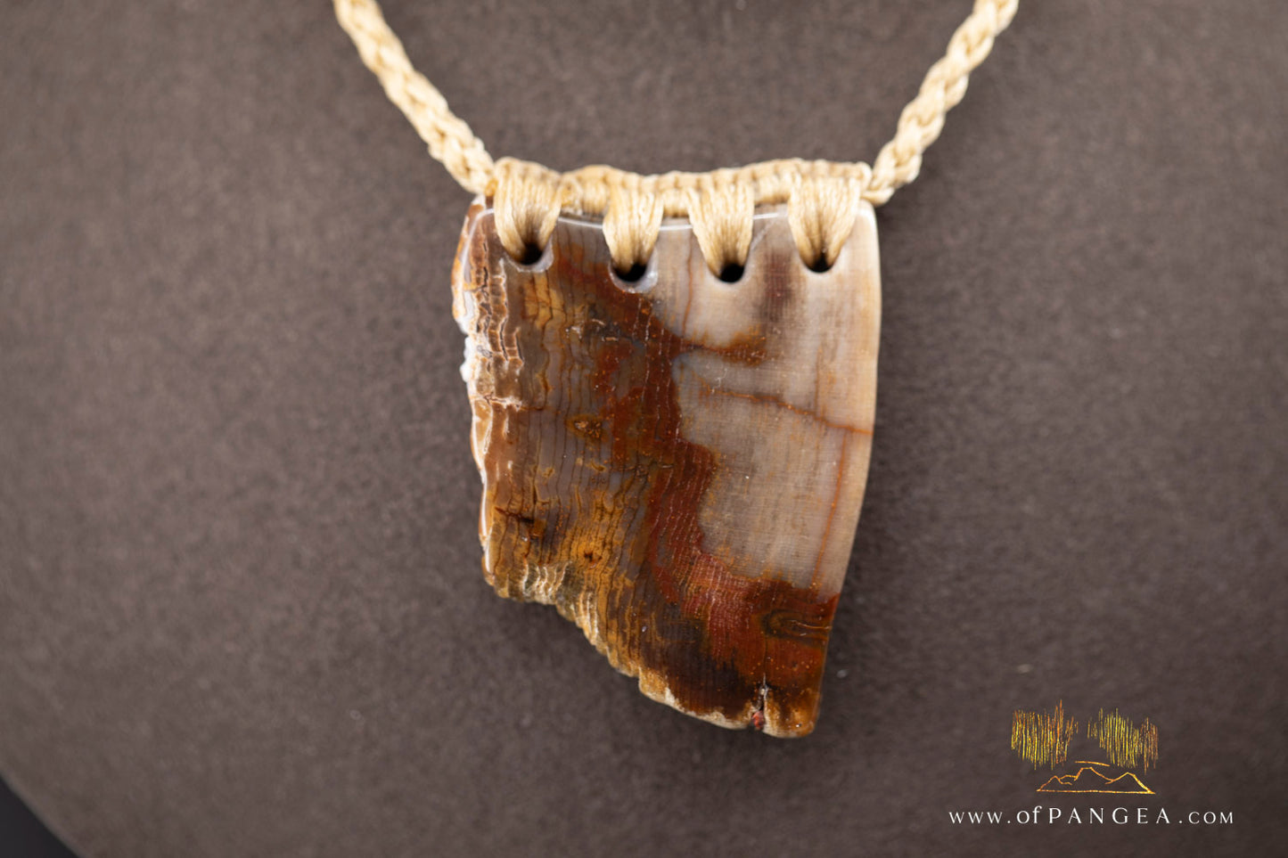 Petrified Wood Slab necklace - Wyoming || JF1062