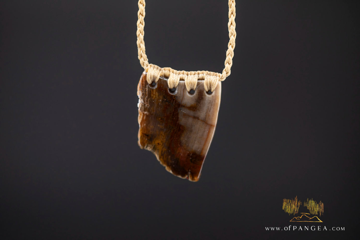 Petrified Wood Slab necklace - Wyoming || JF1062