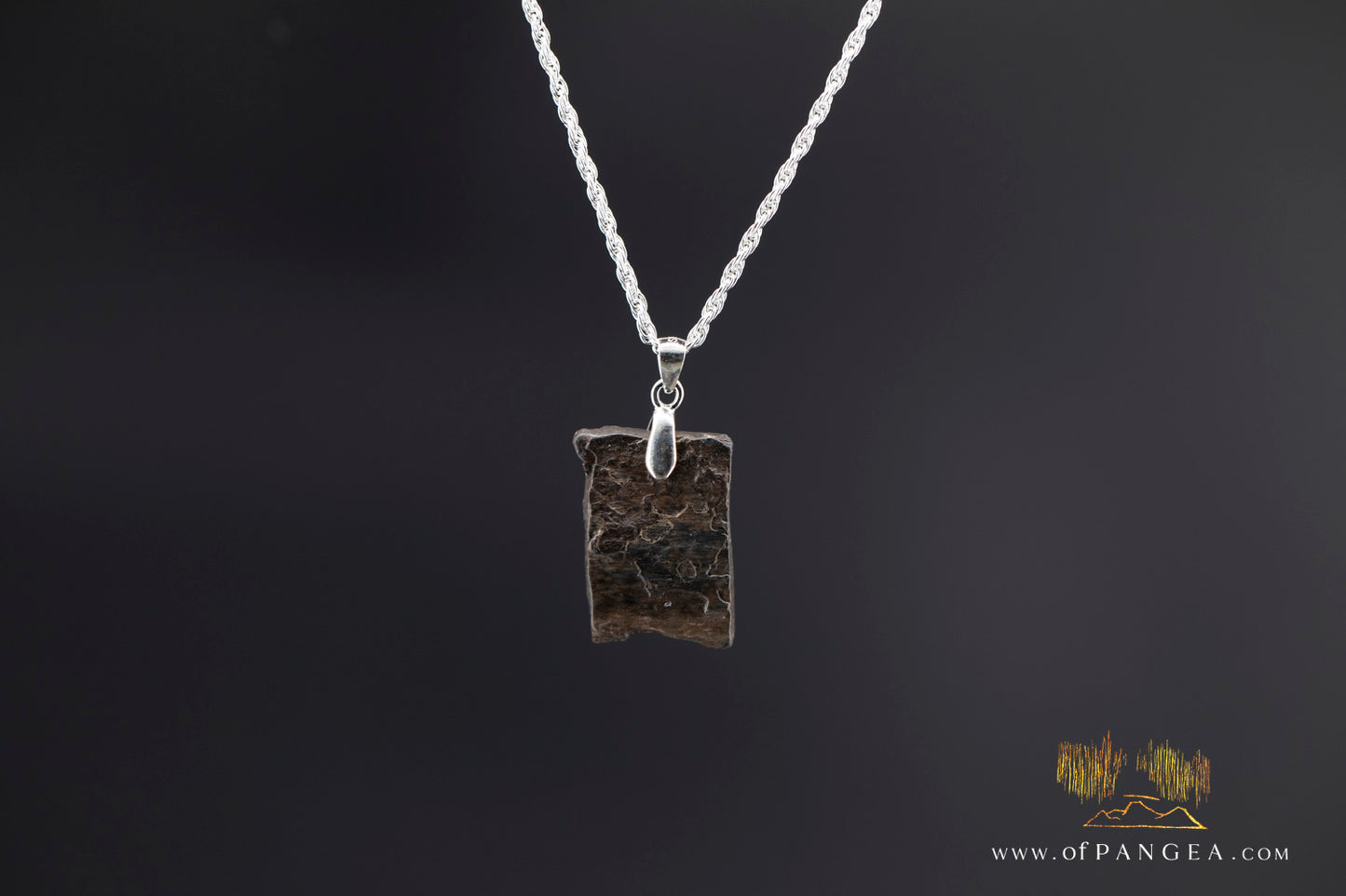 Woolly Mammoth Tusk Pendant - Italian Sterling Silver Necklace || JF1170