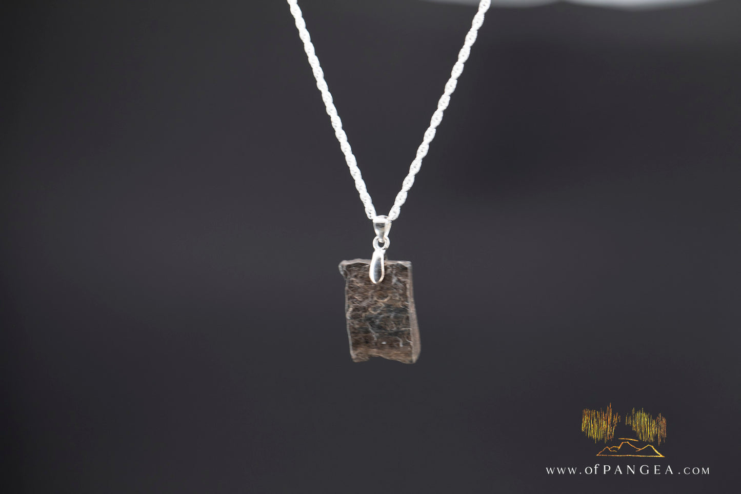 Woolly Mammoth Tusk Pendant - Italian Sterling Silver Necklace || JF1170