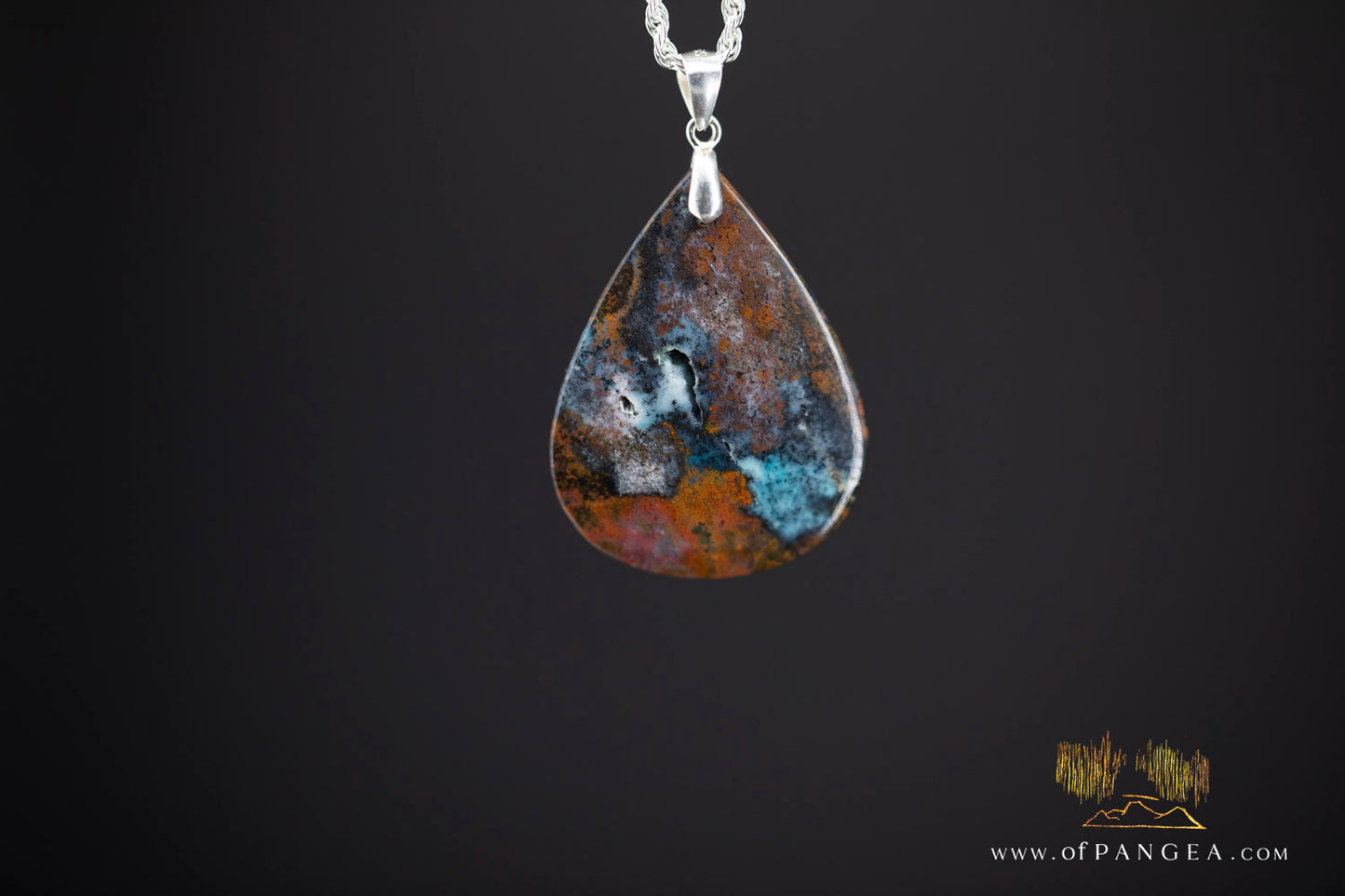 Opalized Petrified Wood Drop Pendant & Italian .925 sterling silver rope chain || JF1176