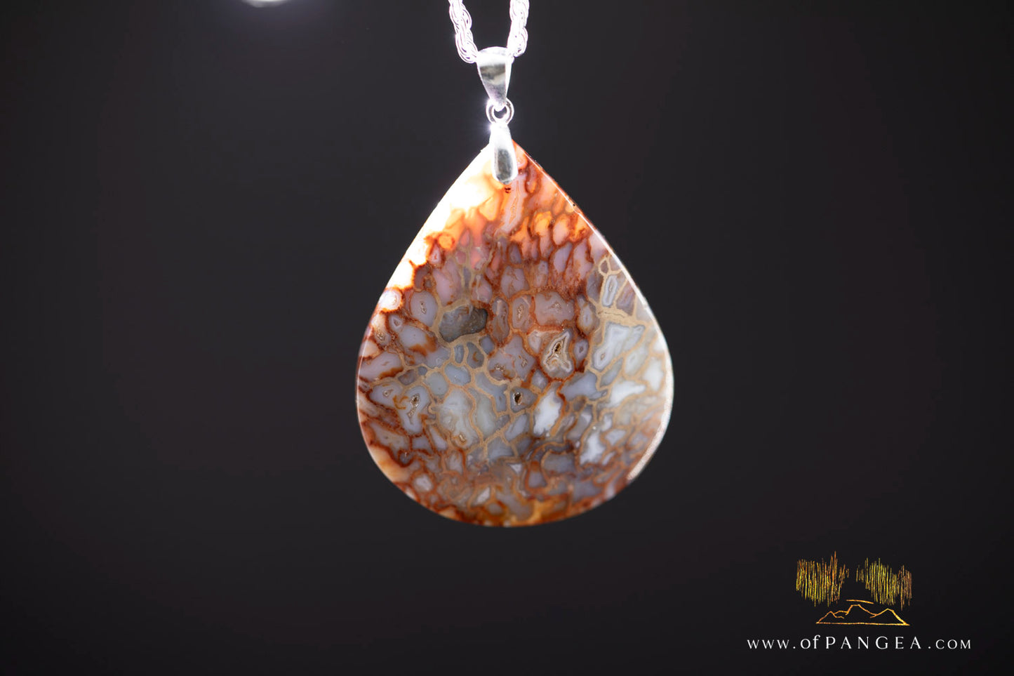 Petrified Palm Wood Drop Pendant & Italian .925 sterling silver rope chain || JF1177
