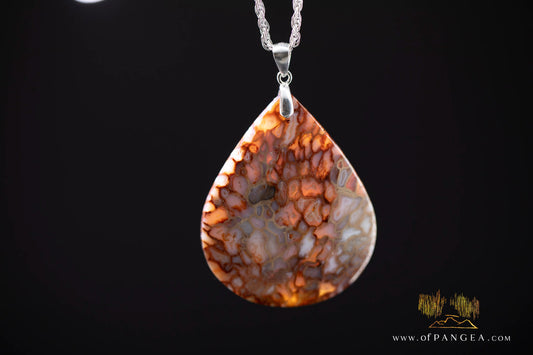 Petrified Palm Wood Drop Pendant & Italian .925 sterling silver rope chain || JF1177