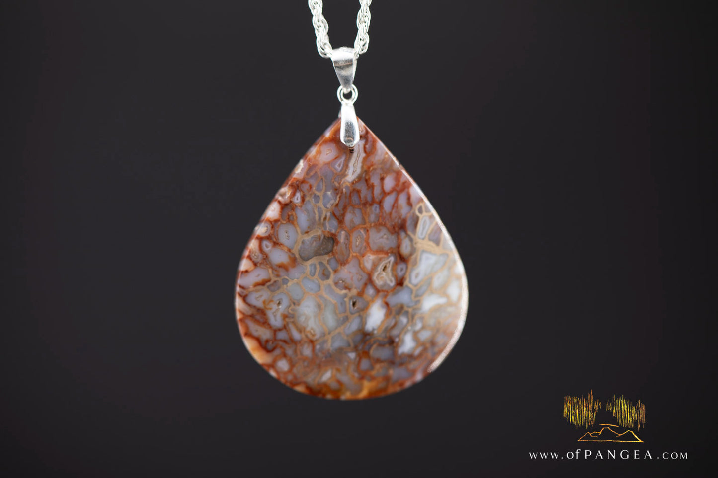 Petrified Palm Wood Drop Pendant & Italian .925 sterling silver rope chain || JF1177